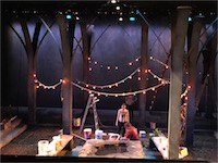 View of the opened trees with festoon lights hanging between them